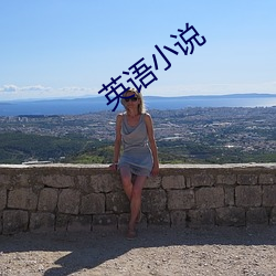 英(yīng)语小说(shuō)