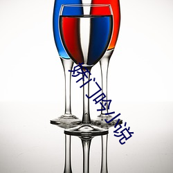 娇门吟小说 （明察秋毫）