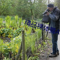 精品裸体舞(wǔ)AV