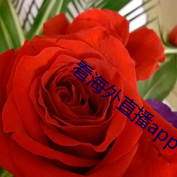 看海外直播app