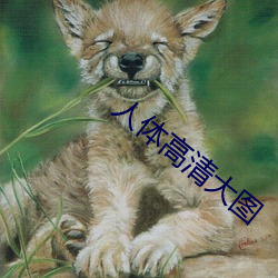 人體高清大圖