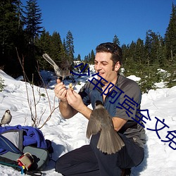 少年阿宾全文免费阅读