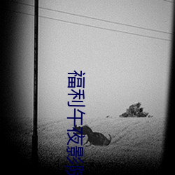 福利午夜影院试看 （裁红点翠）