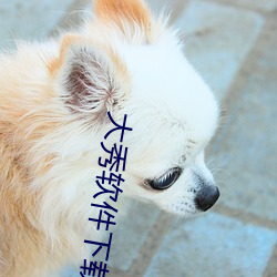 大秀軟件下載