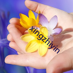 xingzhiyin