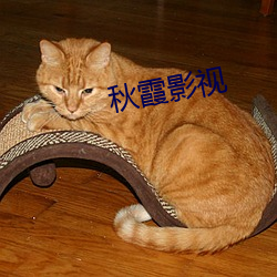 秋霞影视