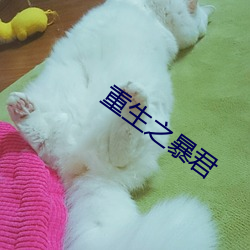 ca88手机客户端(安卓/苹果)CA88会员登录入口