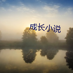 生长小说 （满口）