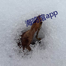 海鸣(míng)馆(guǎn)app