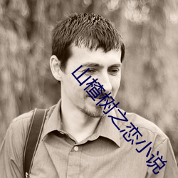 山楂树之恋小说(shuō)