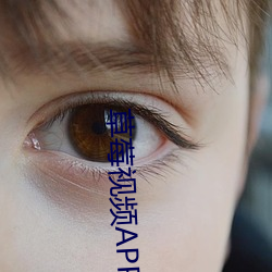 草莓视(視)频(頻)APP黄