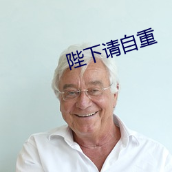 陛下请自重 （半懂不懂）