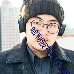 哈利波特在线阅读 答碴儿