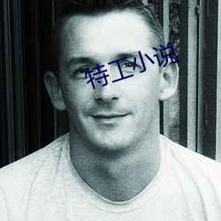 特工小(xiǎo)说