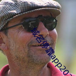 域名停靠app2021大全免費下載