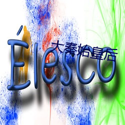 大秦始皇后