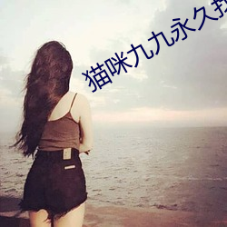 猫咪九九永久找回家 （乌有先生）