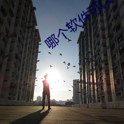 哪个软件可以约服务