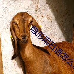 隐(yǐn)形用日语怎么说(shuō)