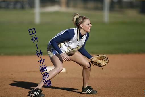 日本一本卡道(dào)免费