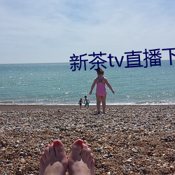 新茶tv直播下载