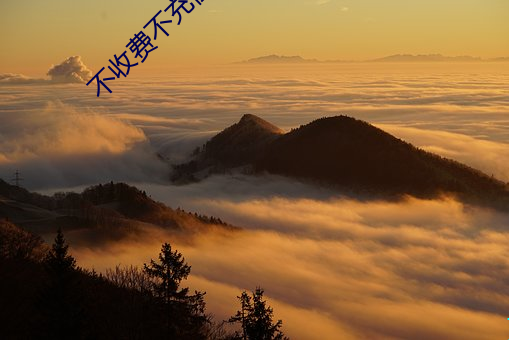 不(不)收费不充值的(的)聊天软件