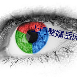 上门赘婿岳风
