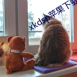 xkdsp蘋果下載