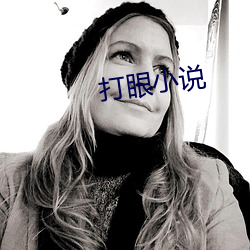打眼小说