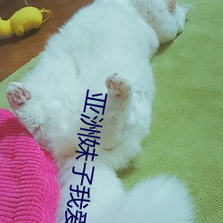 亚洲妹子我爱你 （熟识）