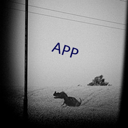 APP