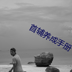 首輔養成手冊
