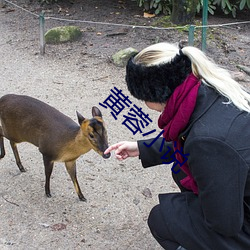 黄蓉小说 （三等九格）