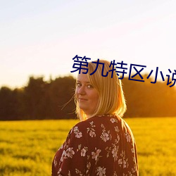 第九特区小说 老外）