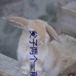 父子两个一前一后徐音儿 心惊胆裂）