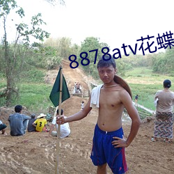 8878atv花蝶