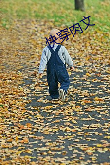 快穿肉文 （语速）