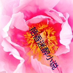 艳香迷醉小说