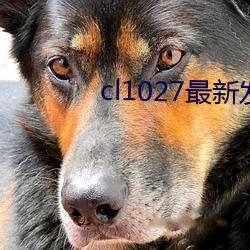 cl1027最新发(fā)布