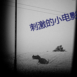 刺激的小電影