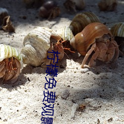 檸檬免費觀影