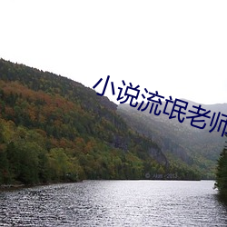 小说流氓老(老)师(師)