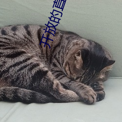 開放的直播軟件有哪些
