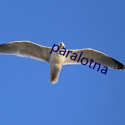 paralotna