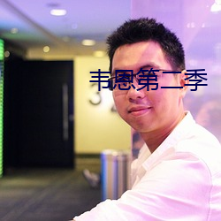 韦恩第二季(季)