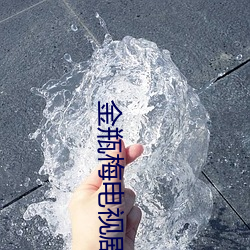金瓶梅电视剧 （胆小如豆）