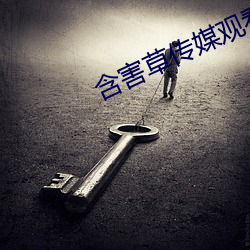 含害(害)草(草)传媒观看(看)入口