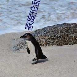 家庭伦乱小说 衔沙填海）