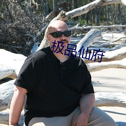 极品仙府