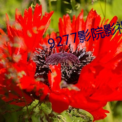 9277影院影(影)视